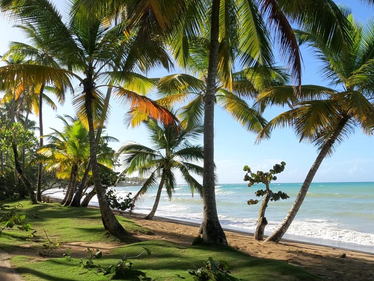 Hotel Bahia Punta Bonita Las Terrenas Bagian luar foto